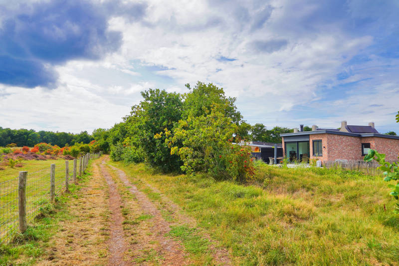 Herfst en Heide Callantsoog
